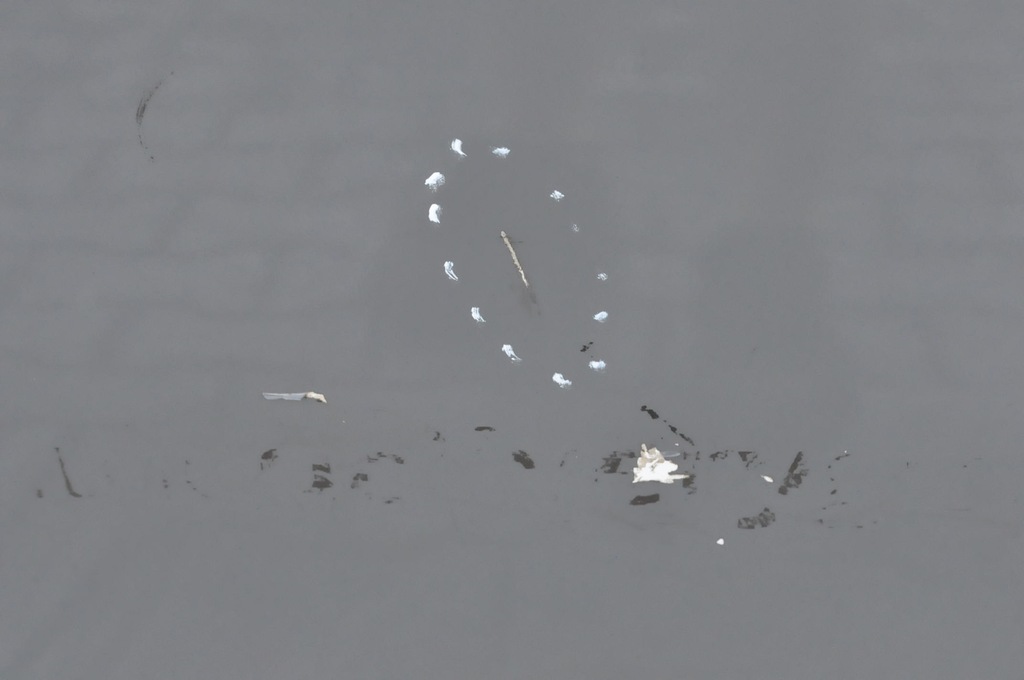 фото №7, Peugeot expert iii двері лівий перед ліва передні