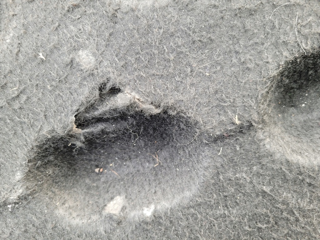 фото №13, Seat leon ii полка багажника задняя повреждённая