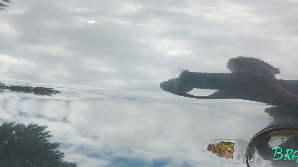 фото №7, Fiat bravo ii двері лівий перед передні