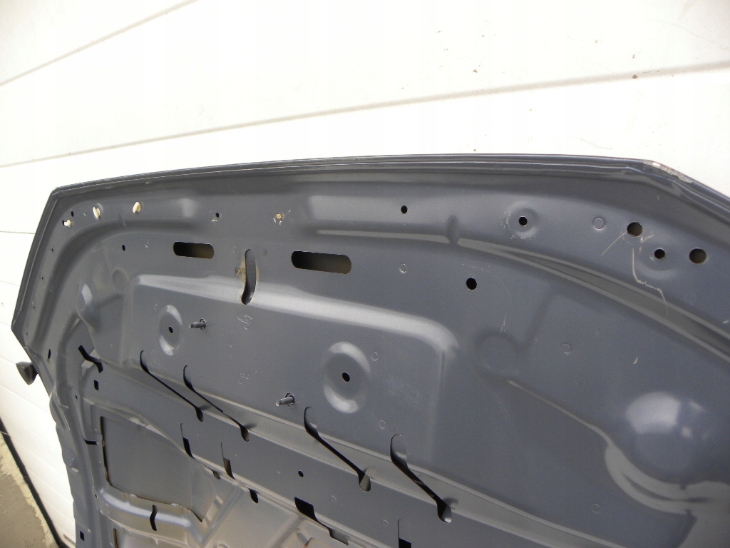 фото №12, Ford mustang mache-e капот передняя