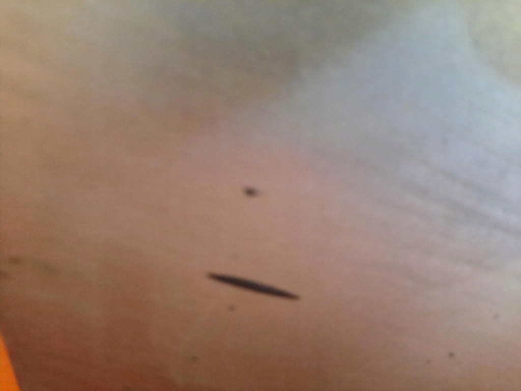 фото №10, Fiat doblo i 1 01-05 дверь боковой сдвижные правое 647