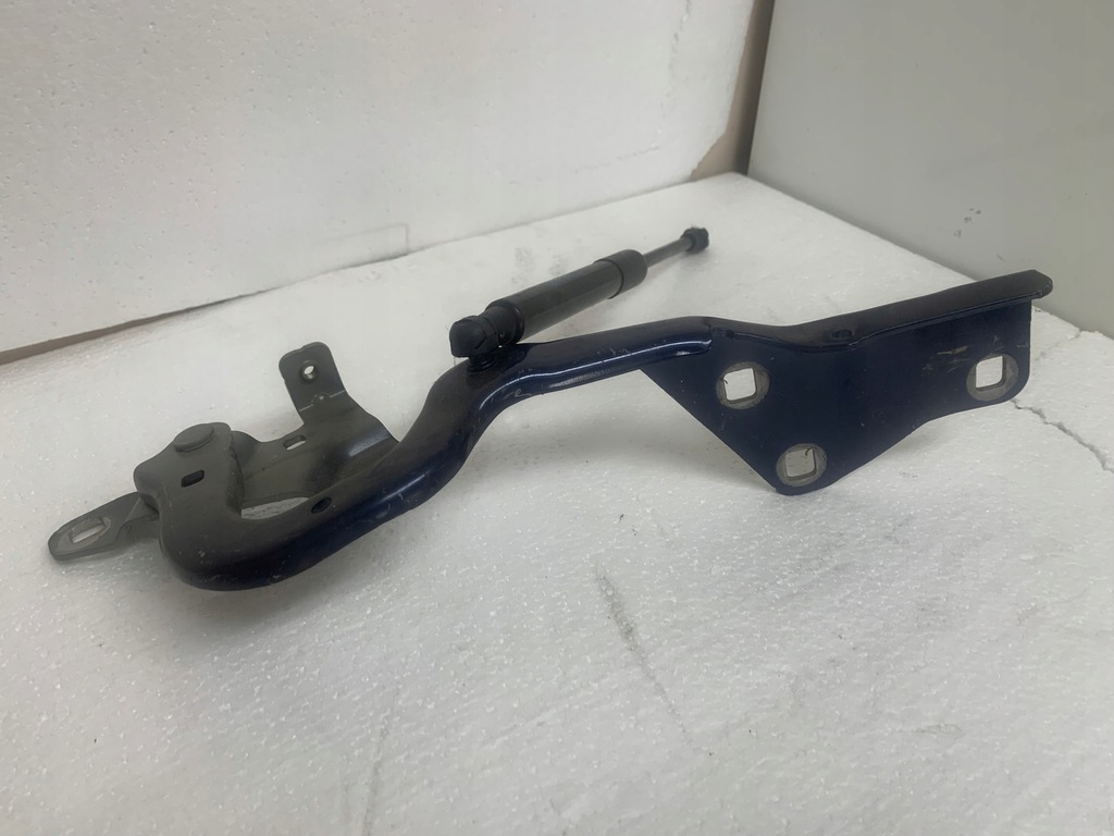 фото №1, Renault scenic iv петля правый 654003758r