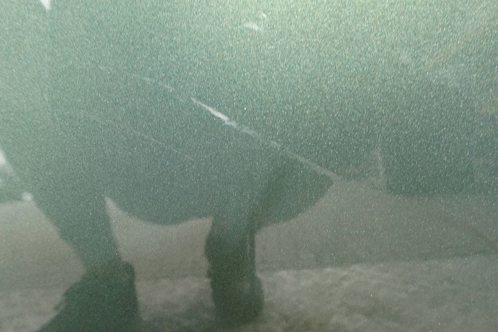 фото №5, Kia sportage v дверь передние левая полный 2021-