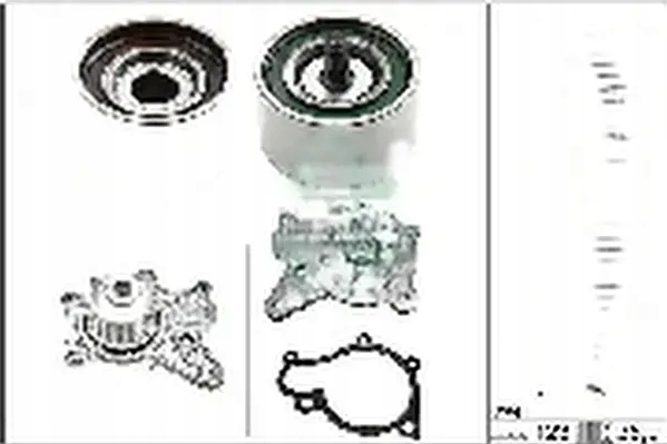 Купити Набір розподільного валу + насос водяна 530 0502 31 ina