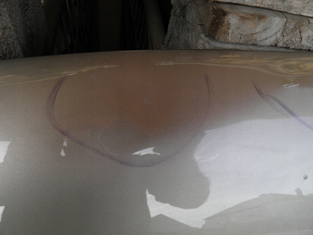 фото №6, Vw tiguan ii 2 5n 5na кришка капот передня