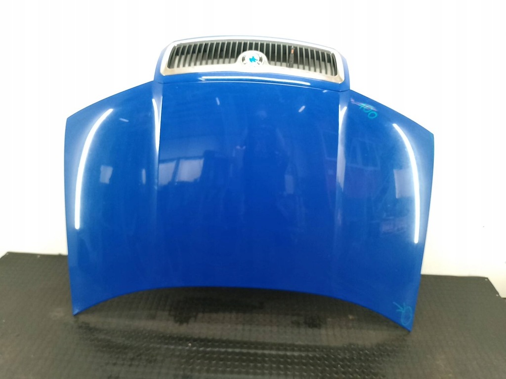 фото №9, Капот skoda fabia i lf5k