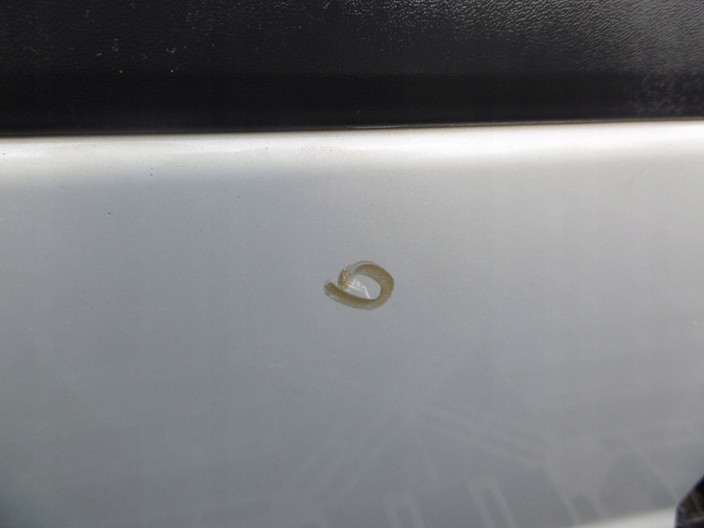 фото №13, Двері правий перед передні 443-46 volvo s80