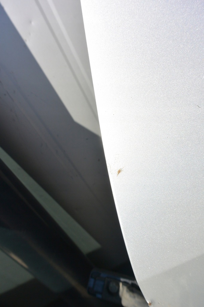 фото №9, Nissan maxima a33 qx дверь левая перед 00-05