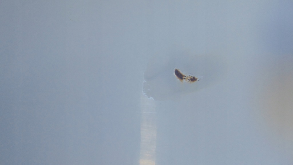 фото №15, | citroen jumper iii 06-14 дверь сдвижные боковой