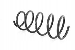 фото №2, Пружина перед renault kangoo