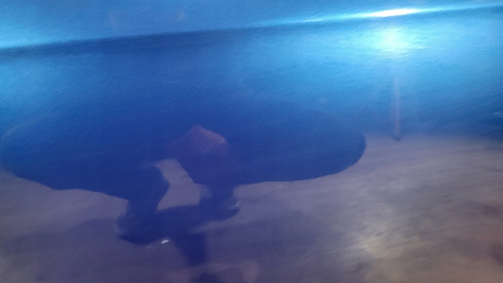 фото №9, Двері лівий задня honda accord vii 7 b507p kombi