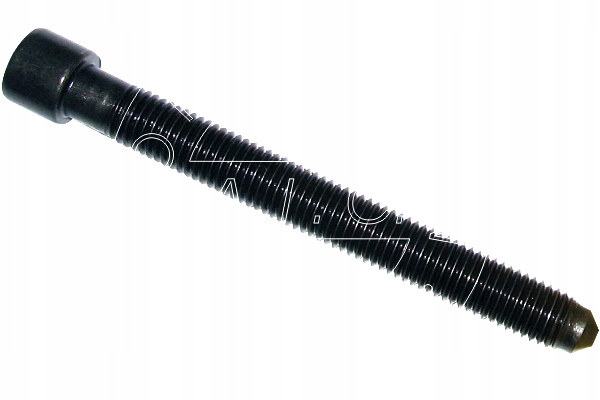 фото №2, Болт головки aic