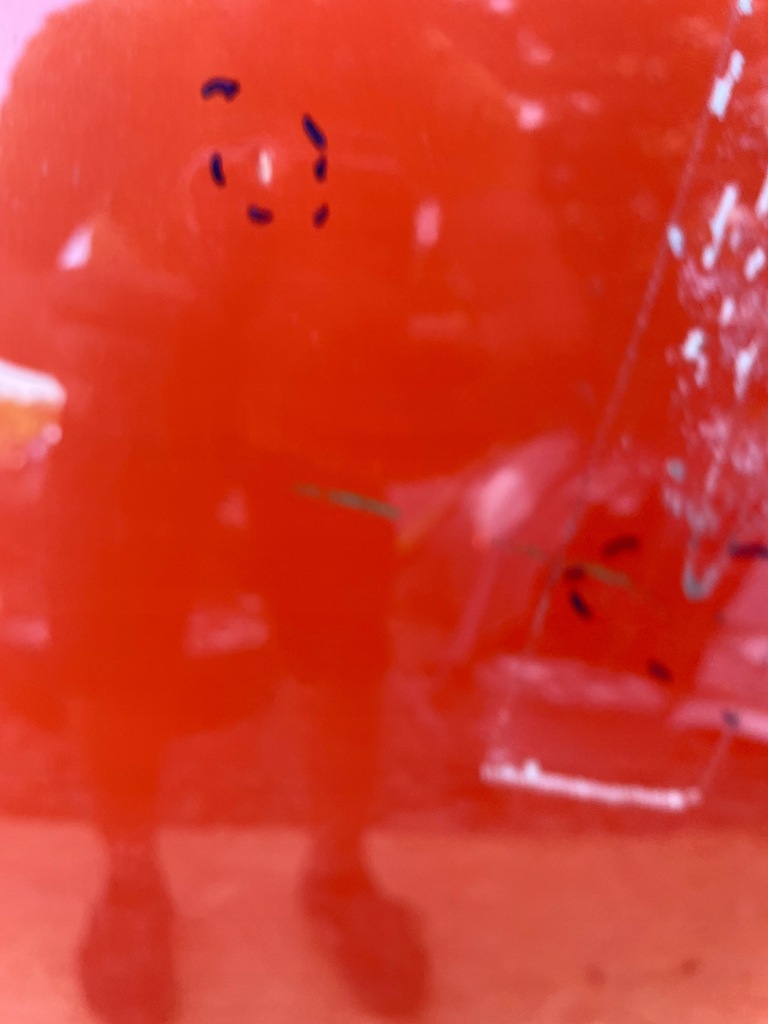 фото №7, Капот opel corsa f кришка двигуна