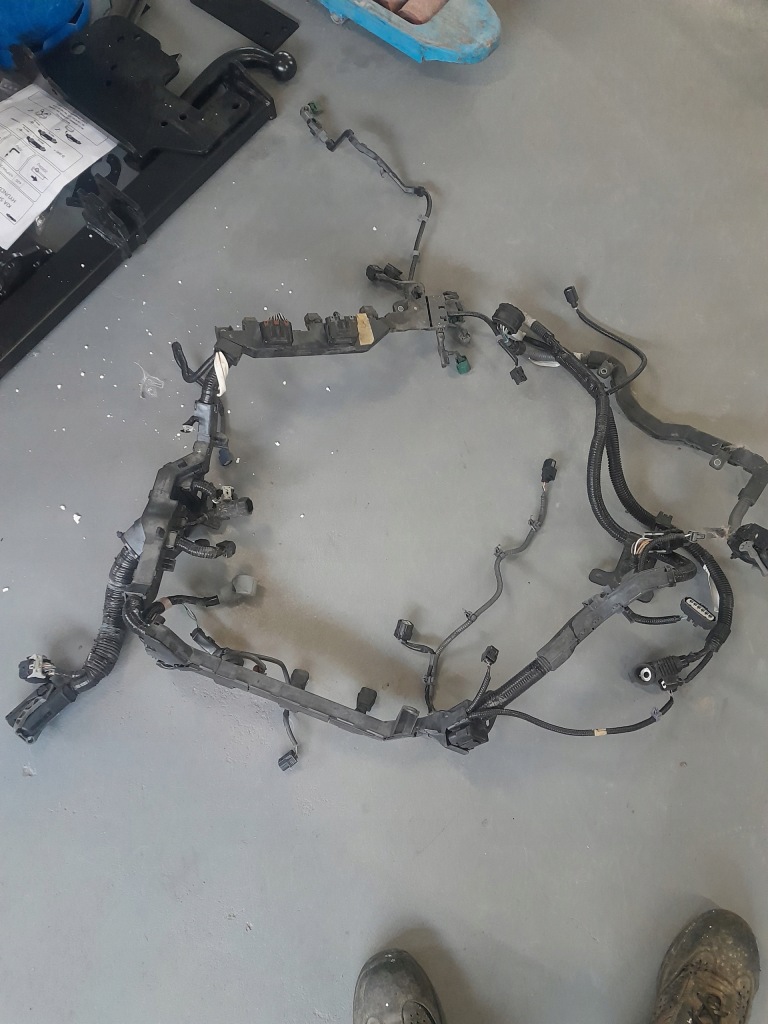 фото №1, Электропроводка двигателя оригинал pilot legend odyssey 2017 + -