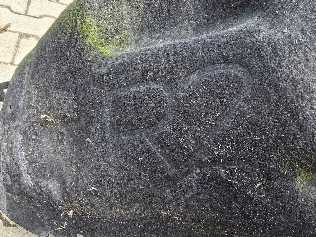 фото №4, Підкрилок праве задня bmw x6 e71