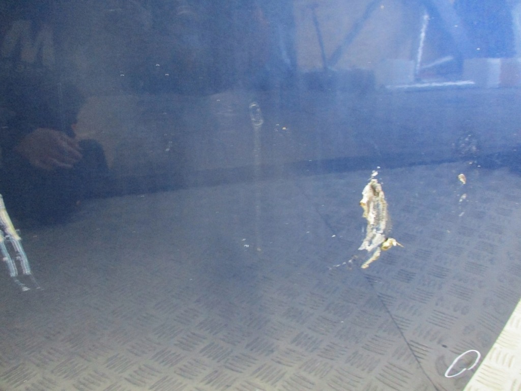 фото №3, Дверь правый перед toyota avensis t25 8p4