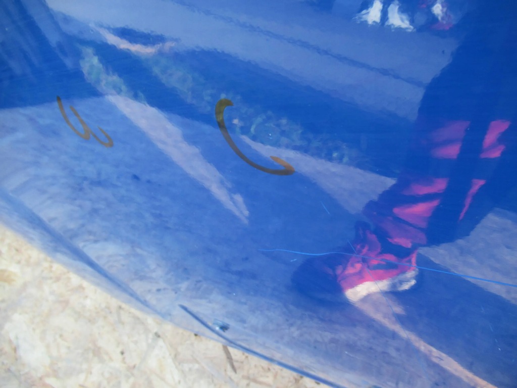 фото №7, Дверь перед левая fiat ducato 06-