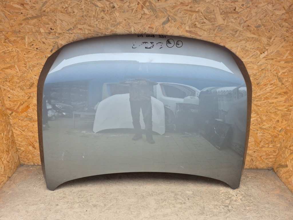 Купити Kia ev9 ev-9 капот