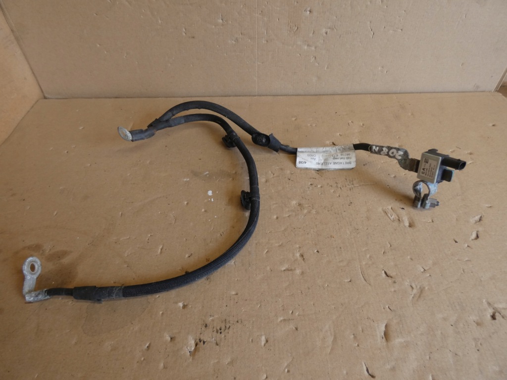 Купити Клема мінусова citroen c3 aircross 18- 1.6 bluehdi 98234110980