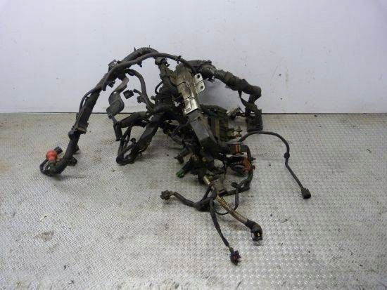 фото №1, Электропроводка двигателя koleos i 2.0 dci