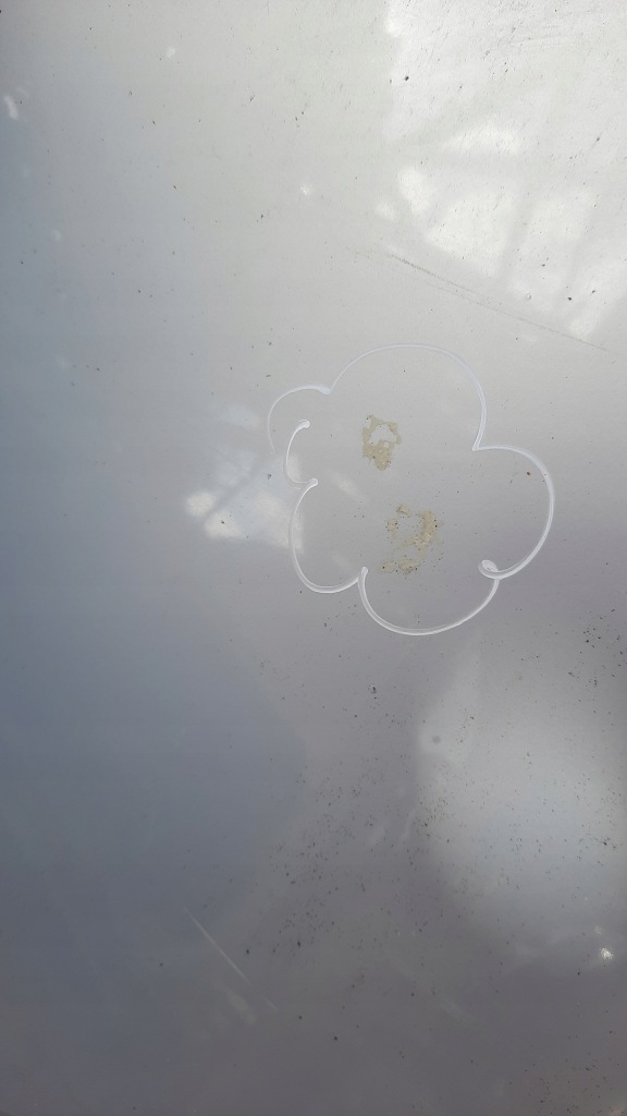 фото №2, Капот vw sharan 97r