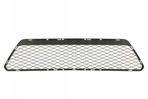 фото №1, Решітка решітка радіатора бампера 6502-07-2533999p blic