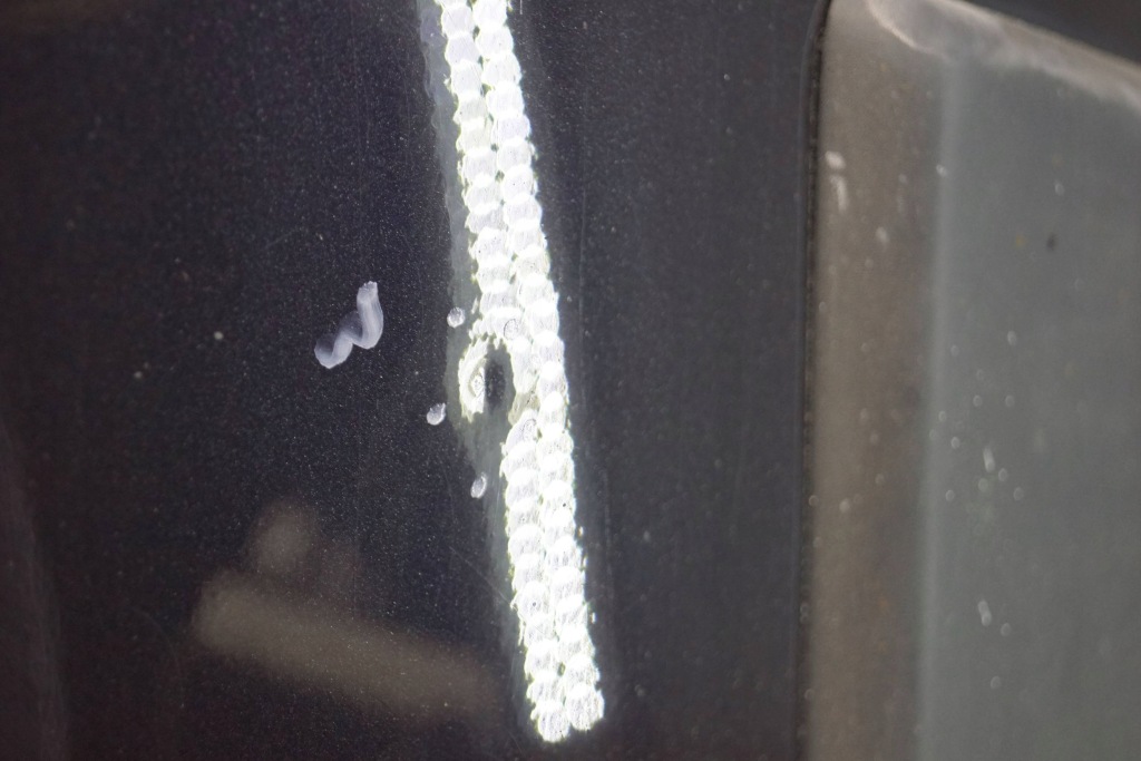 Ducato jumper boxer iii двері правий перед d1773 Доставка