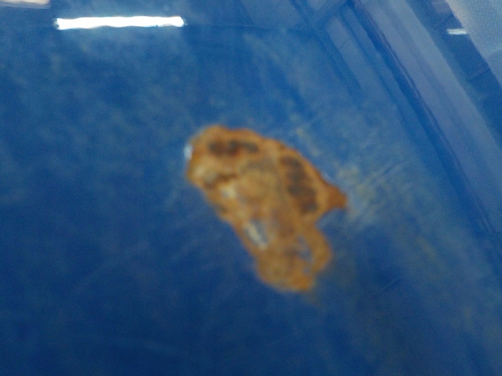 фото №7, Volkswagen t4 lift двері задня задні праве