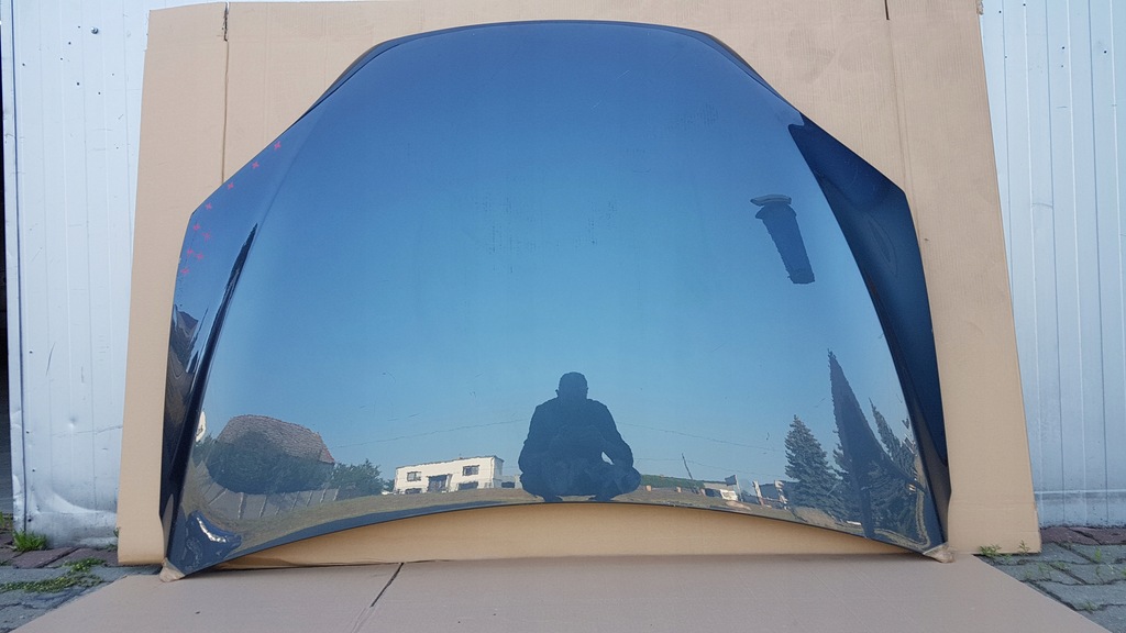 фото №7, Капот tesla x