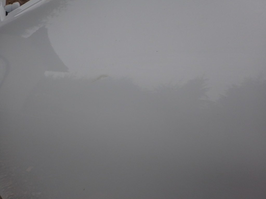 фото №3, Дверь левая передние левый перед renault zoe bfm