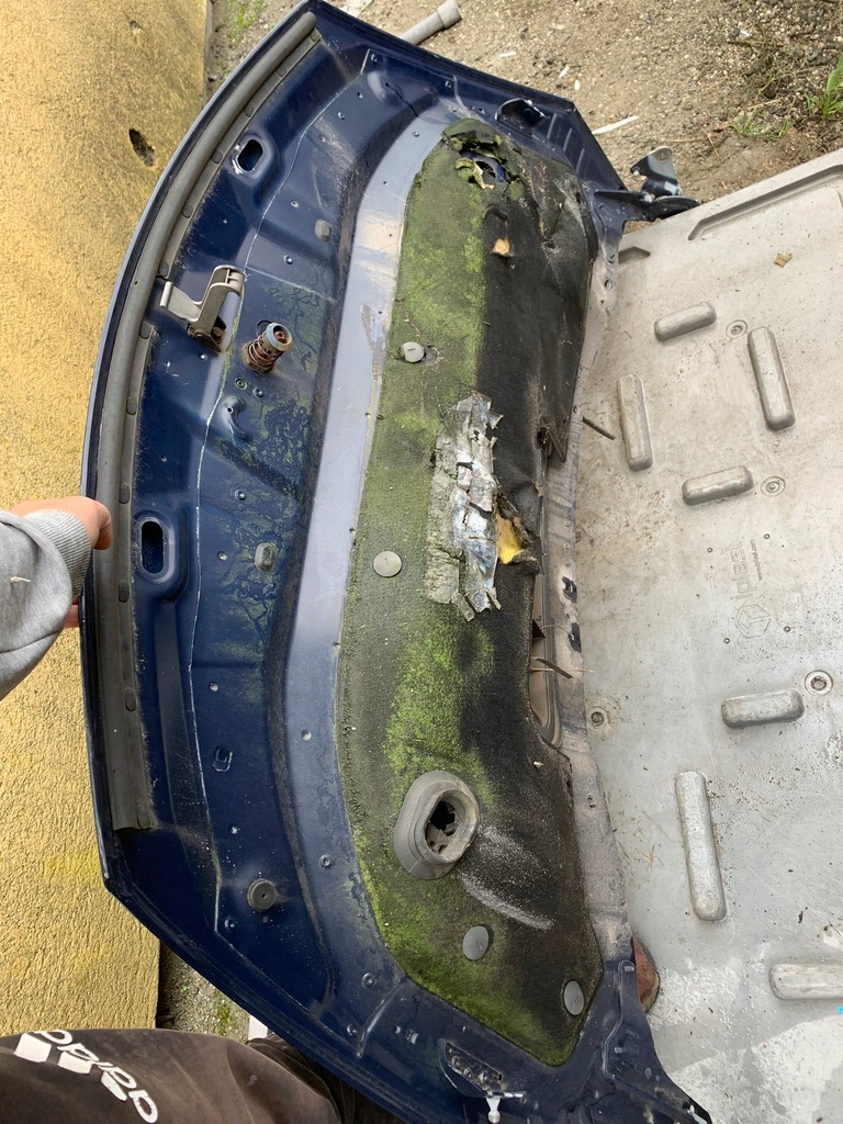 фото №5, Капот renault espace iv