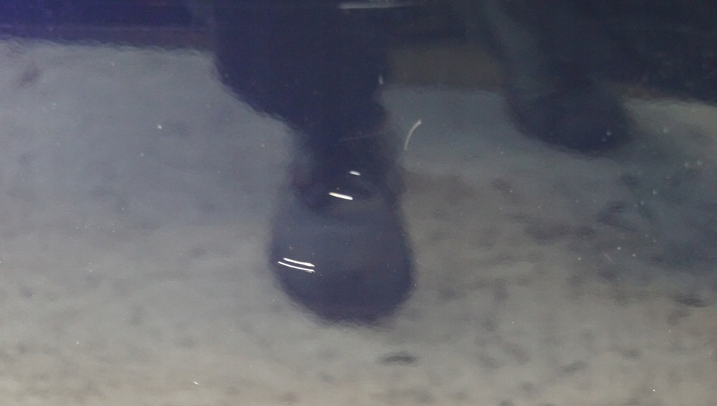 фото №11, Дверь правый перед mazda 6 gh ii