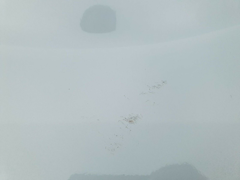 фото №10, Nissan cube z11 02-08 крила передній лівий