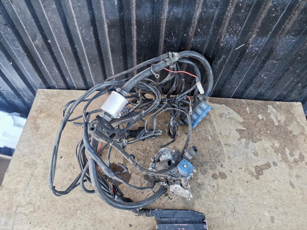 фото №1, Электропроводка газовая lpg stag-300-4 plus omvl 4cyl