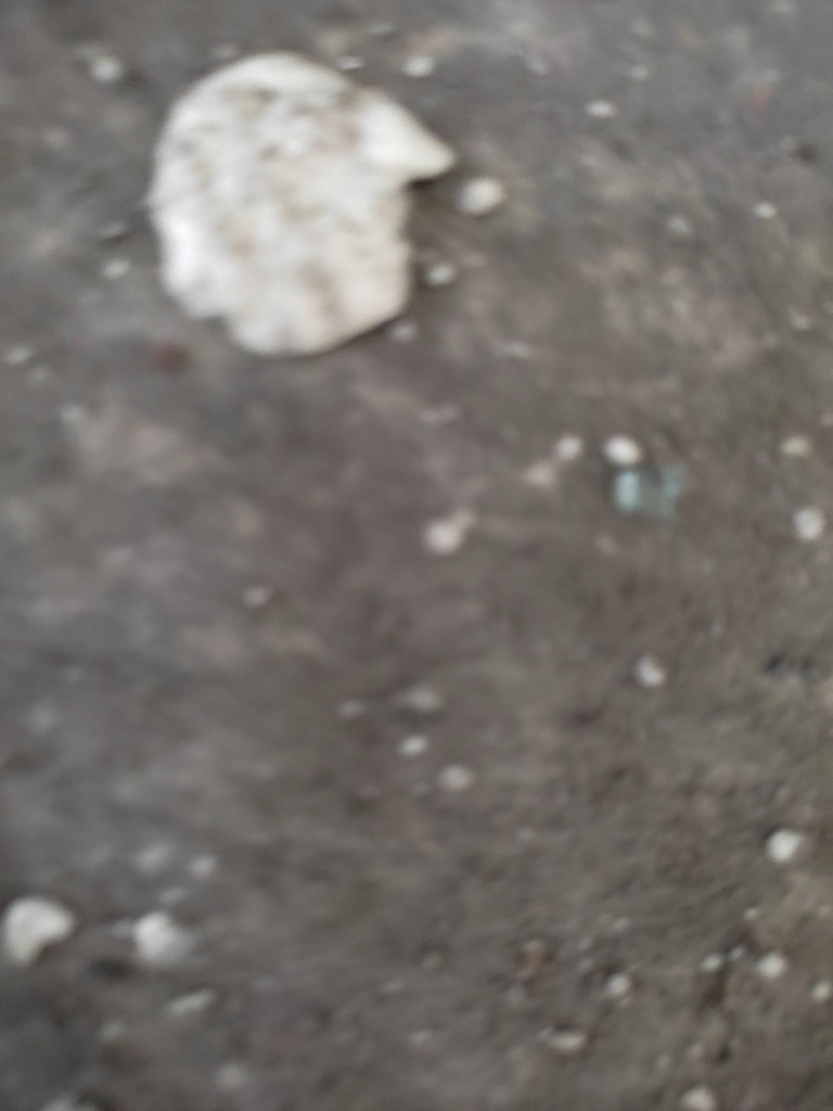 Захист передня підвіска ferrari california f149 083948900 Ціна