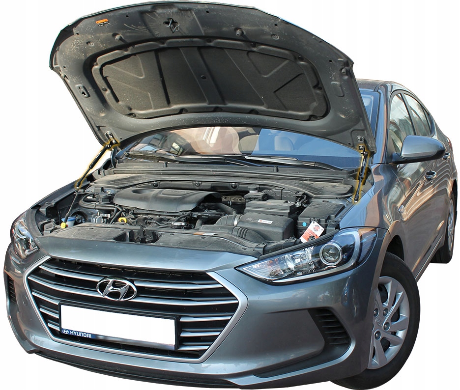 фото №1, Амортизатори капот кришки перед hyundai elantra iv 4
