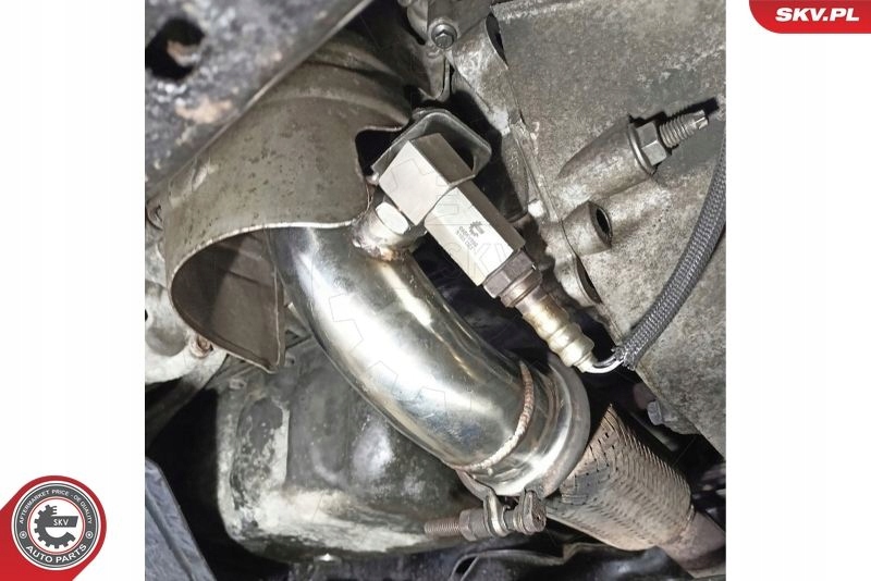 фото №10, Каталізатор