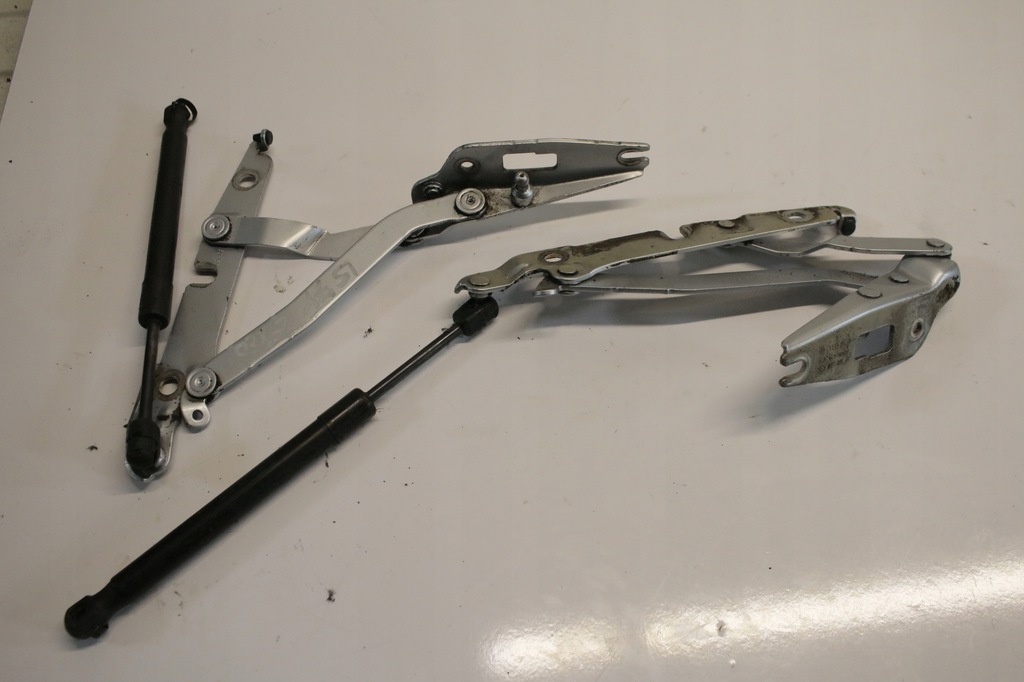 фото №1, Петли крышки seat exeo