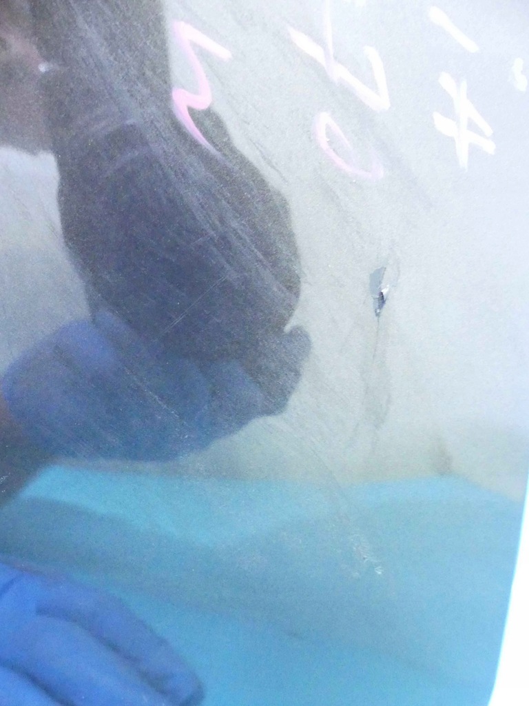 фото №4, Бампер перед renault thalia ii 08-13