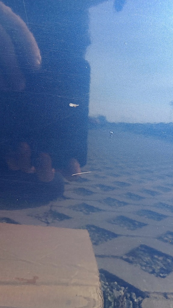 фото №9, Дверь левый перед audi a6 c6 niebieskie lz5b