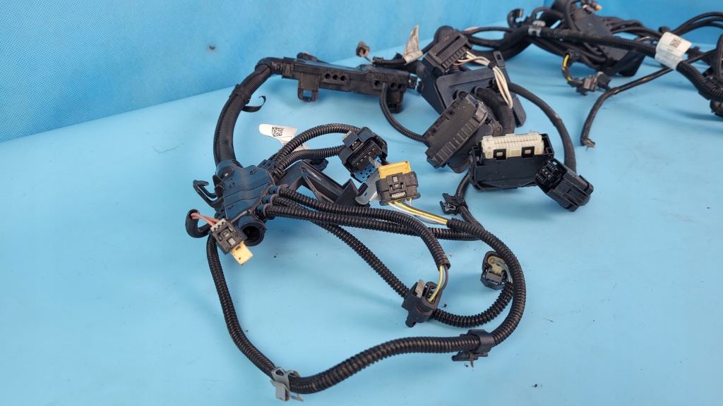 Bmw f48 x1 20ix джгут двигуна 8677250 7639967 Зі Шроту