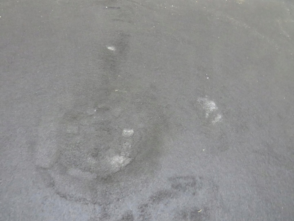 фото №4, Підлога багажника volvo v40 ii