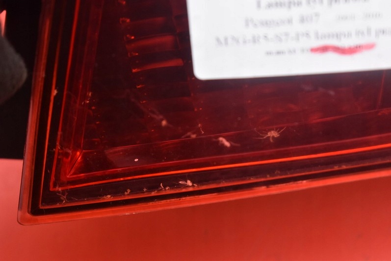 фото №10, Лампа права задня задня 9656606280 peugeot 407 sedan 04-10