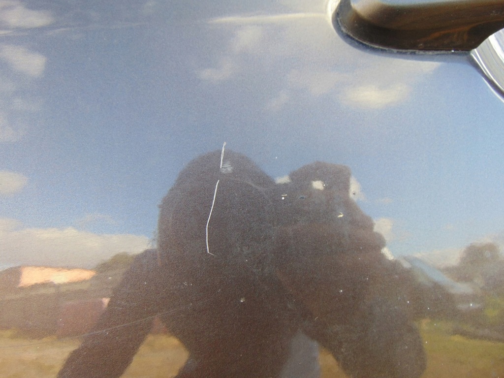 фото №6, Дверь левый задняя kia sportage 2 ii цвет 6d