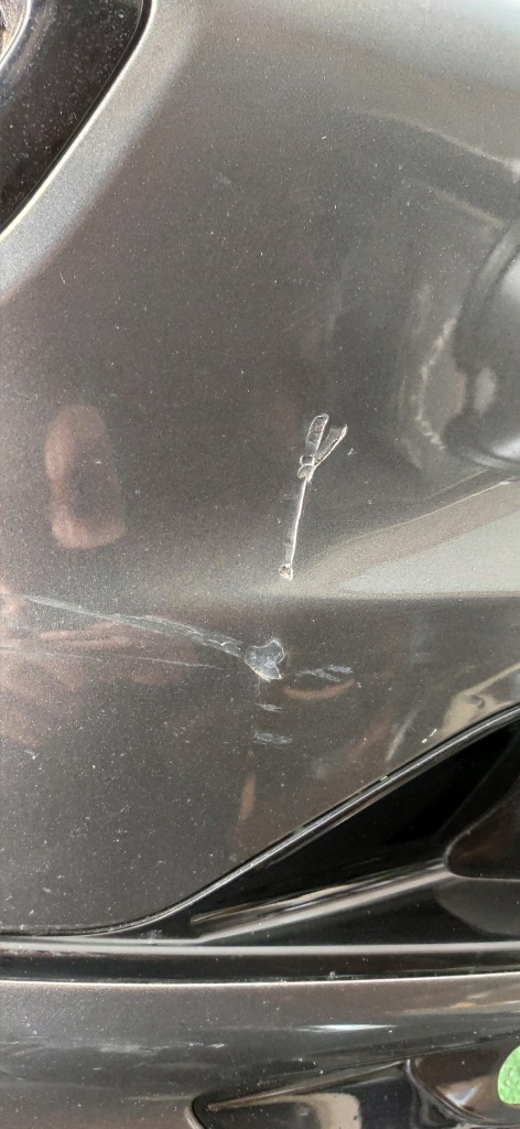 Бампер перед передний ford kuga mk3 st-line в Украине