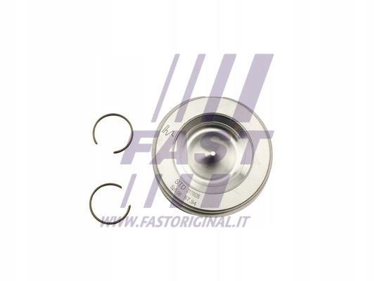 фото №2, Поршні fast ft47131/0