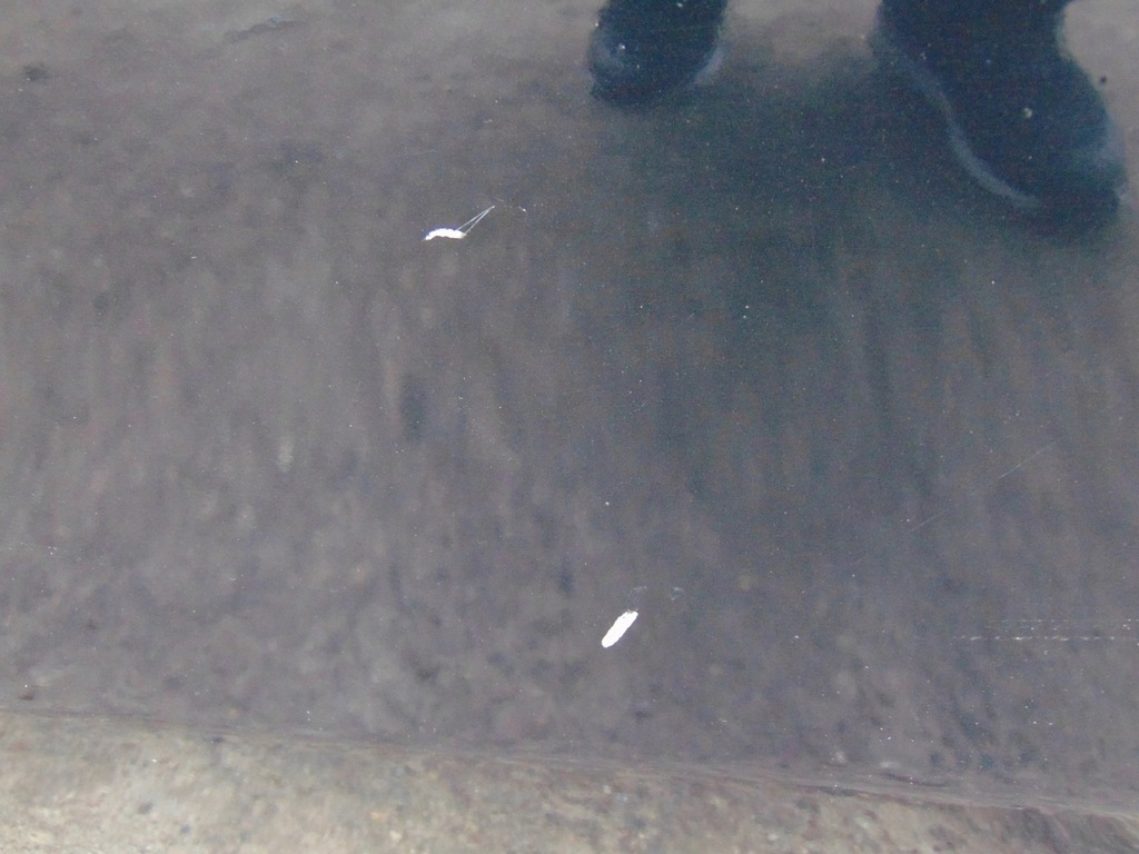 фото №8, Дверь левый задняя 197 mercedes w212