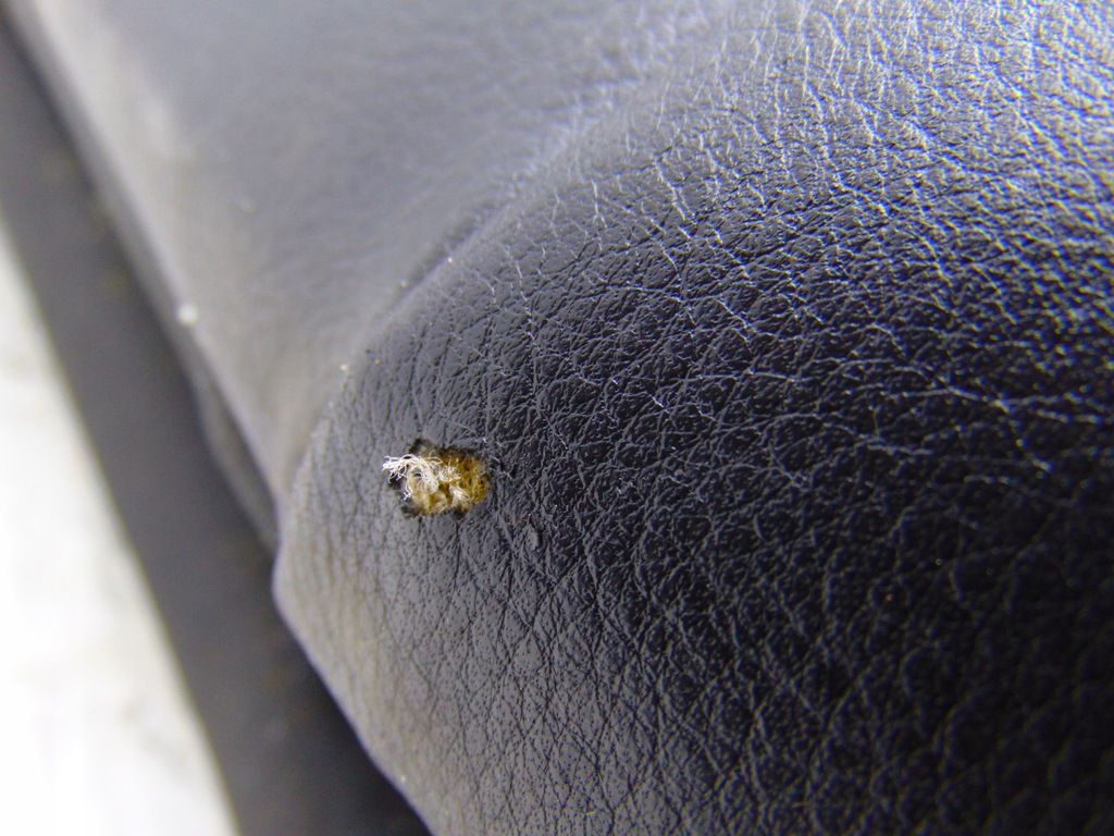 фото №12, Сидіння правий перед передній шкіра пасажир vw scirocco iii 1k8