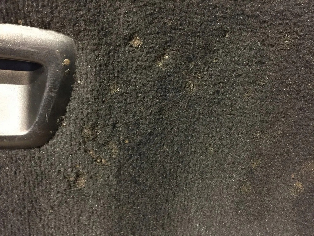 фото №4, Обшивка пол багажника bmw 3 f31 комплект