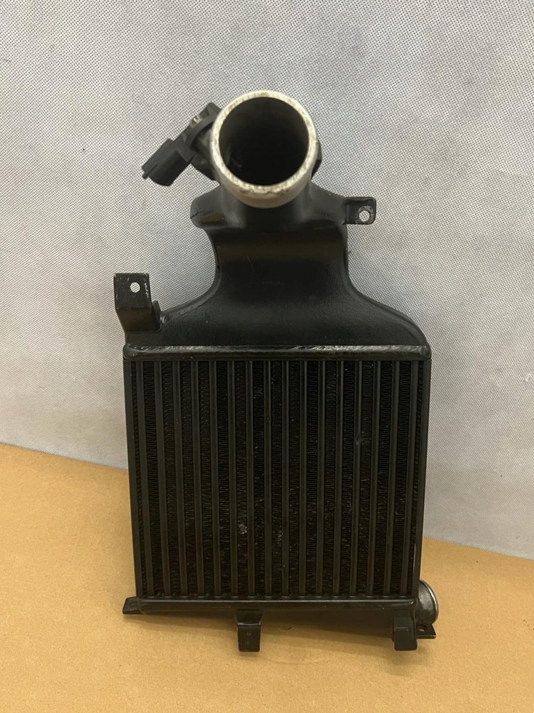 фото №1, Інтеркулер opel astra h 04- 6302057